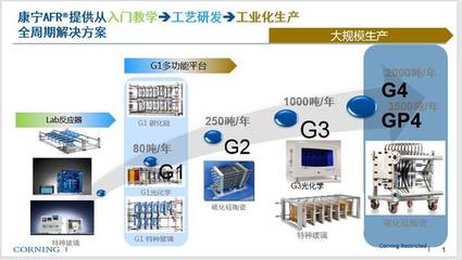 微通道反应器技术与工业化应用专题讲座暨专家咨询会圆满结束